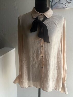 Sheer Long-Sleeve Bow Blouse Dress - Cream with Black Tie